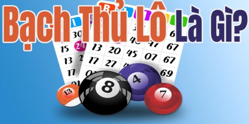 Bạch Thủ Lô Là Gì? Bí Quyết Soi Cầu Và Chọn Số Chính Xác